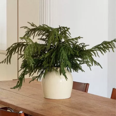 Real Touch Faux Pine Branches & … curated on LTK